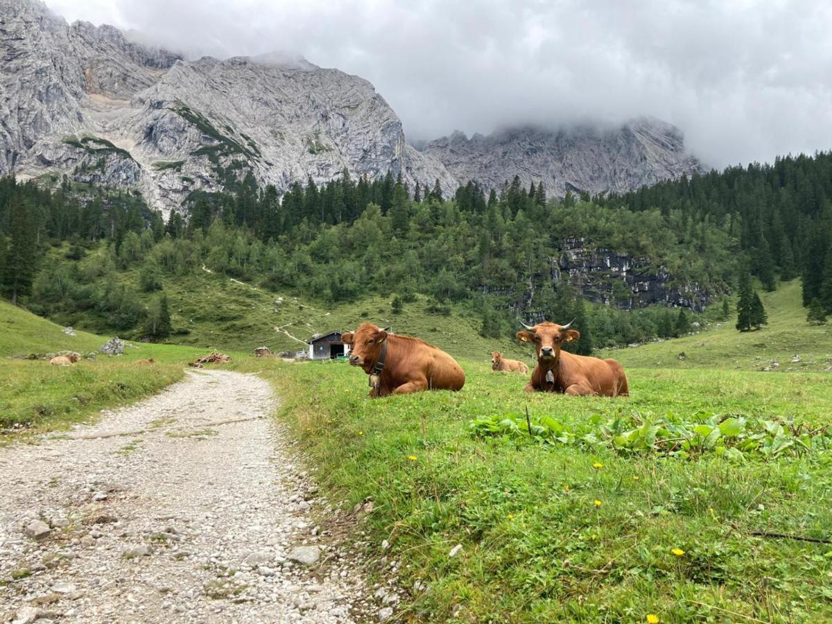 Haus Niklos - Wank Grainau Exteriér fotografie